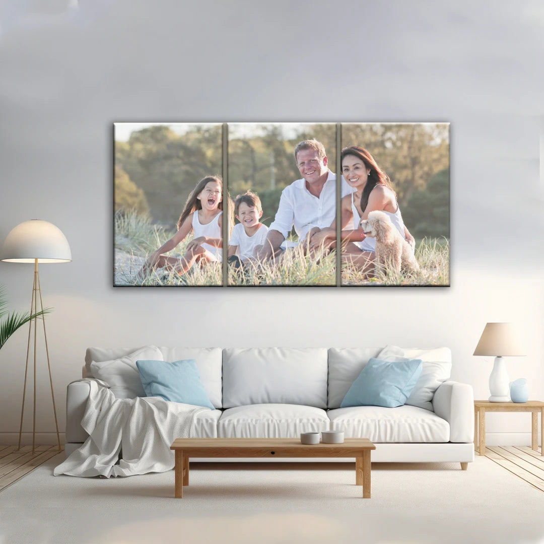3 Piece Split Canvas Prints