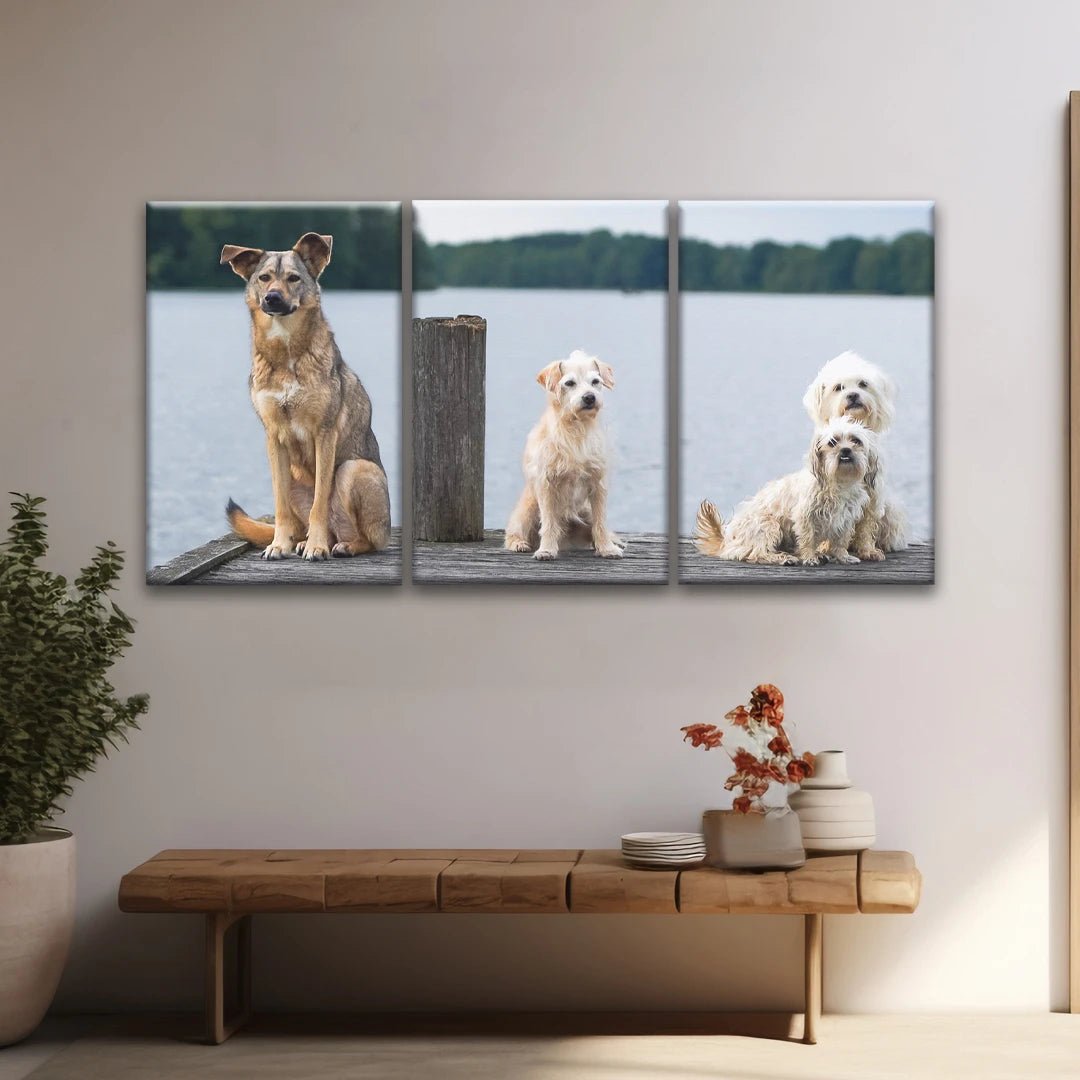 3 Piece Split Canvas Prints