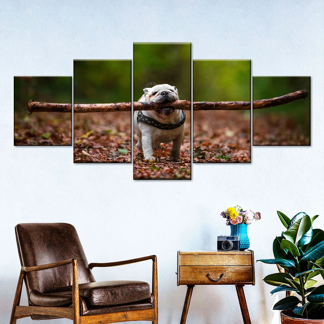 5 Piece Split Canvas Prints