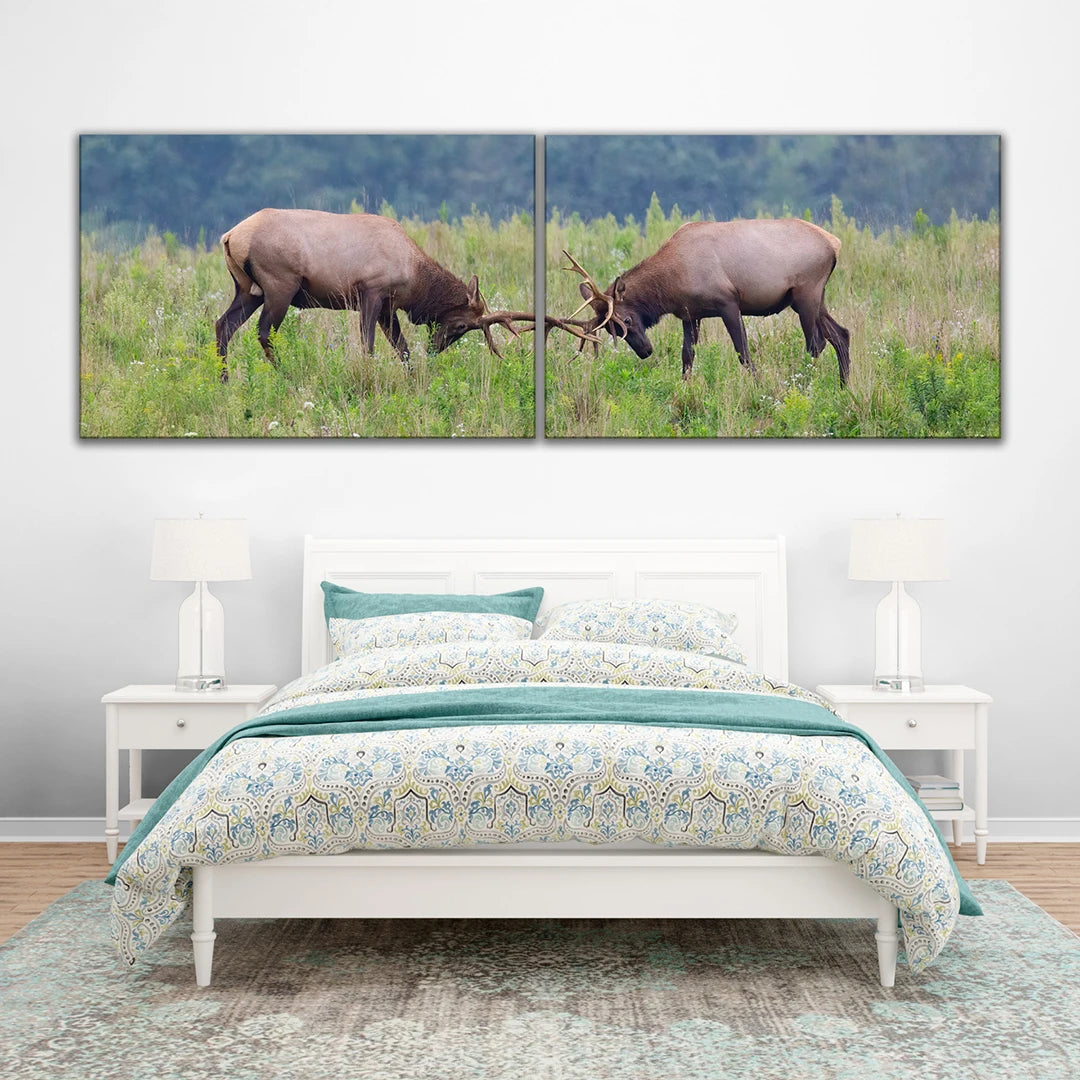 2 Piece Panoramic Split Canvas Prints
