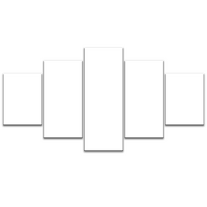 5 Panel Split Canvas Prints