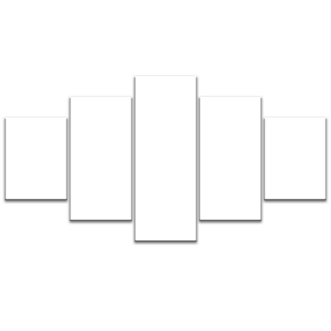 5 Panel Split Canvas Prints
