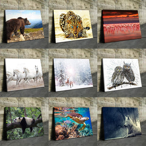Custom Photo Canvas Prints Landscape