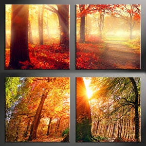 Custom Photo Canvas Prints Square