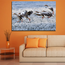 Load image into Gallery viewer, Gray Geese Approach Winter Meadow Frost Snow Split Canvas Prints
