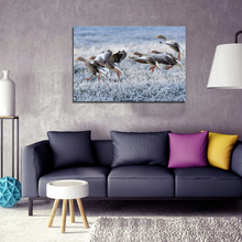 Load image into Gallery viewer, Gray Geese Approach Winter Meadow Frost Snow Split Canvas Prints

