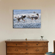 Load image into Gallery viewer, Gray Geese Approach Winter Meadow Frost Snow Split Canvas Prints
