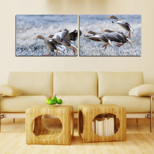 Gray Geese Approach Winter Meadow Frost Snow Split Canvas Prints