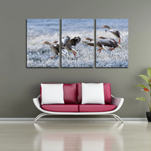 Load image into Gallery viewer, Gray Geese Approach Winter Meadow Frost Snow Split Canvas Prints
