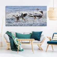 Load image into Gallery viewer, Gray Geese Approach Winter Meadow Frost Snow Split Canvas Prints
