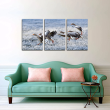 Load image into Gallery viewer, Gray Geese Approach Winter Meadow Frost Snow Split Canvas Prints
