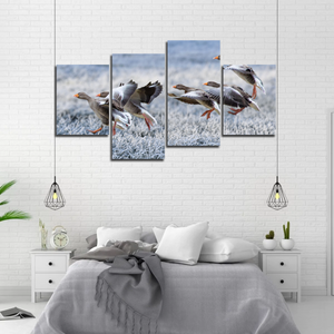 Gray Geese Approach Winter Meadow Frost Snow Split Canvas Prints