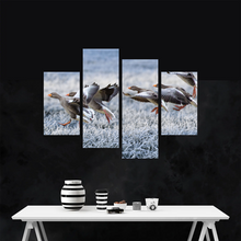 Load image into Gallery viewer, Gray Geese Approach Winter Meadow Frost Snow Split Canvas Prints
