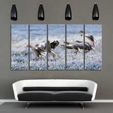Load image into Gallery viewer, Gray Geese Approach Winter Meadow Frost Snow Split Canvas Prints
