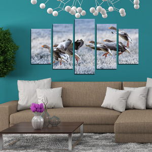Gray Geese Approach Winter Meadow Frost Snow Split Canvas Prints