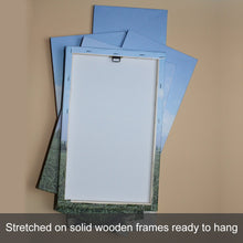 Load image into Gallery viewer, 5 Piece Split Canvas Prints Extra Large Fluctuant
