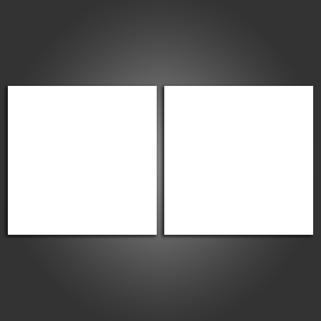 2 Piece Split Canvas Prints Square