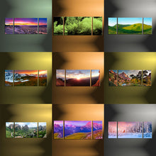 Load image into Gallery viewer, 3 Panel Split Canvas Prints
