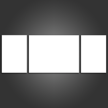 Load image into Gallery viewer, 3 Panel Split Canvas Prints
