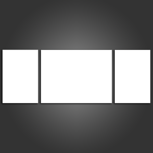 3 Panel Split Canvas Prints