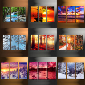 3 Piece Split Canvas Prints