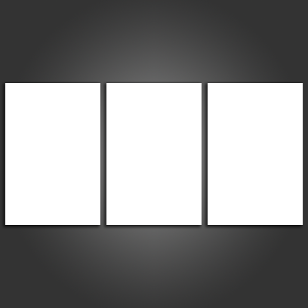3 Piece Split Canvas Prints