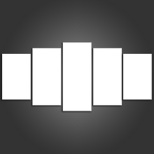 Load image into Gallery viewer, 5 Piece Split Canvas Prints Medium
